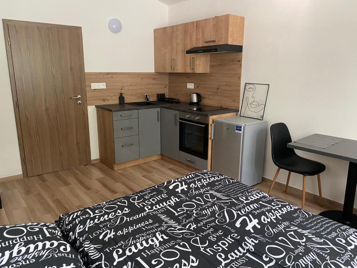 Cerna Ruze - Apartman 7 Plzeň Exteriör bild